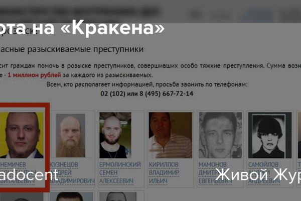 Ссылка на кракен на сегодня