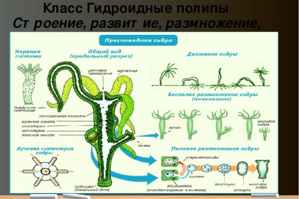 Кракен купить наркотики