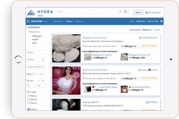 Darknet как войти