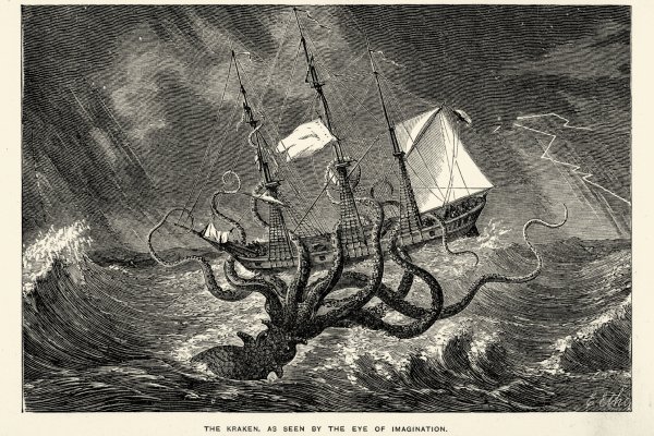 Кракен актуальная ссылка kraken torion net