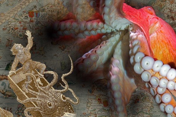 Kra37.cc Вход на сайт главная страница