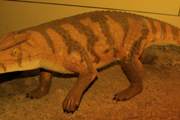 Магазин наркоты