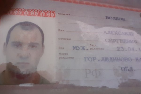Даркнет каталог