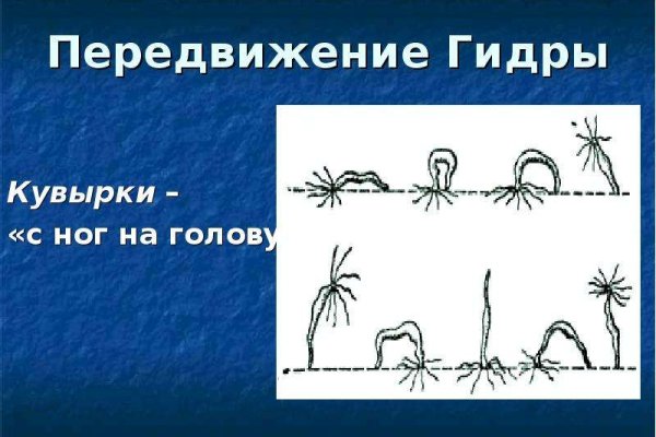 Даркнет площадки