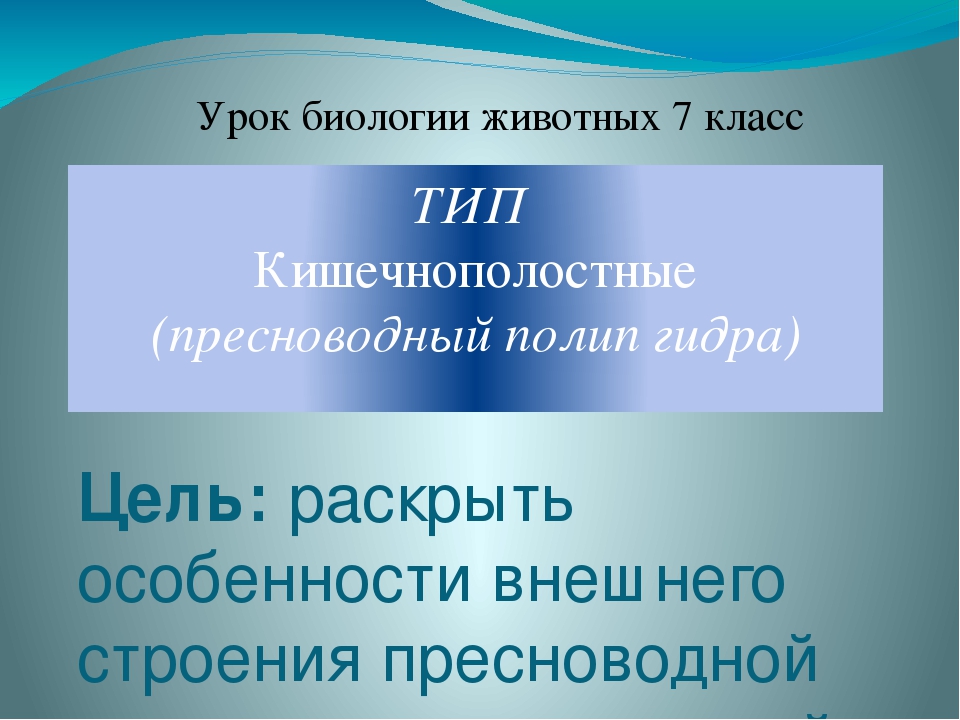 Kraken официальный сайт ссылка krk store com