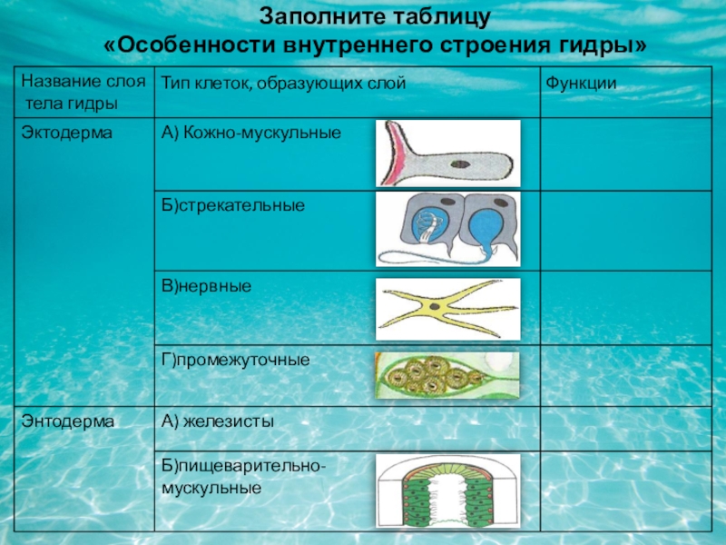 Кракен наркоз магазин
